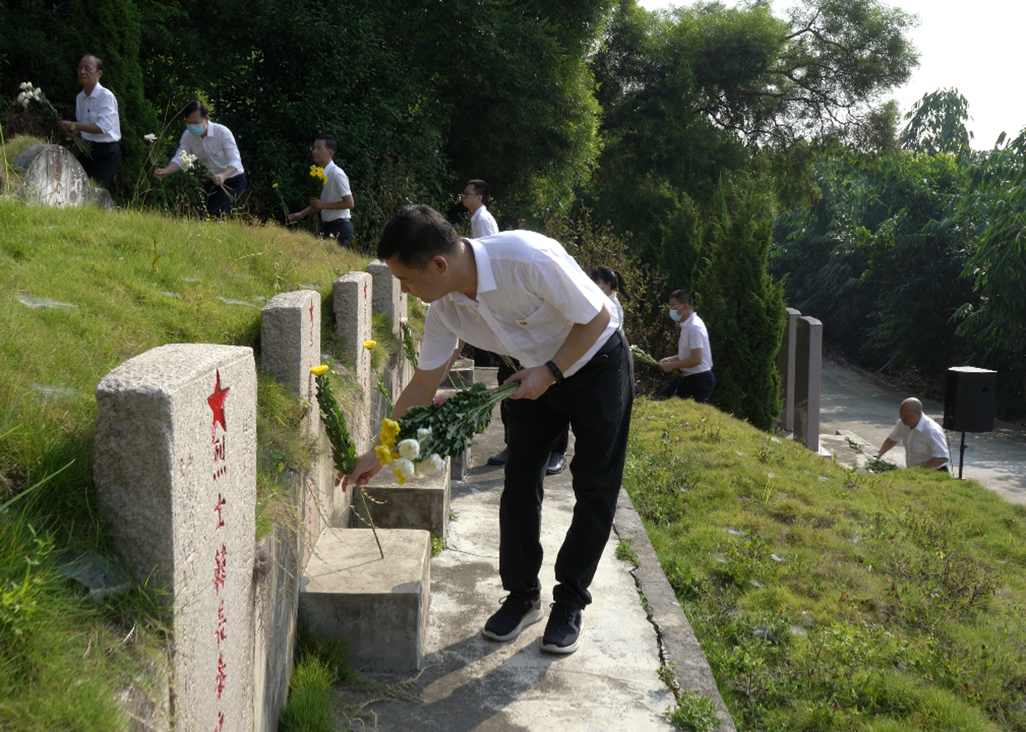 图片8.png